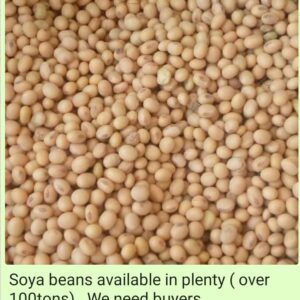 Soya Beans