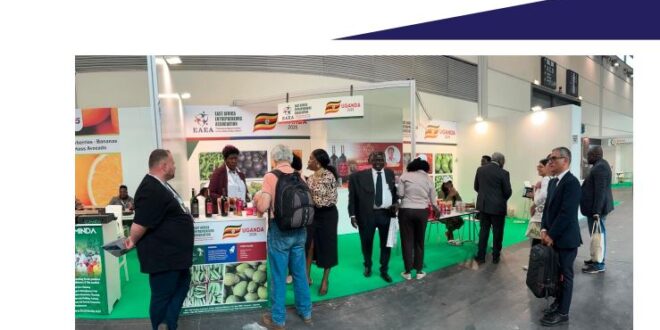 Macfrut 2025 Participation Report